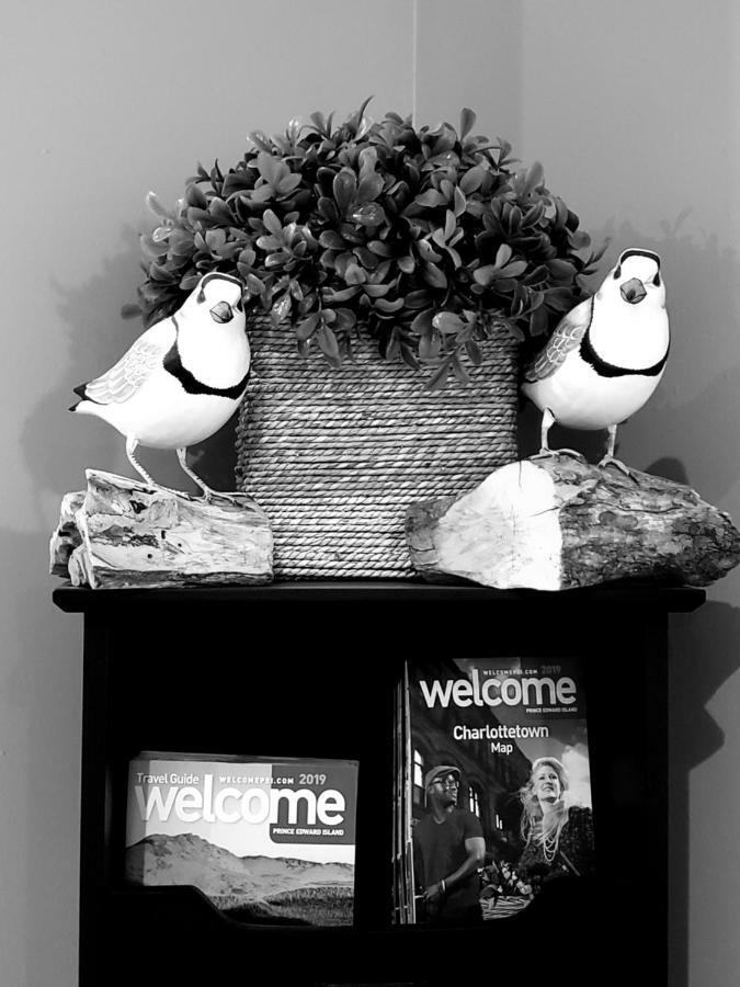 Serendib Bed And Breakfast Stratford Buitenkant foto